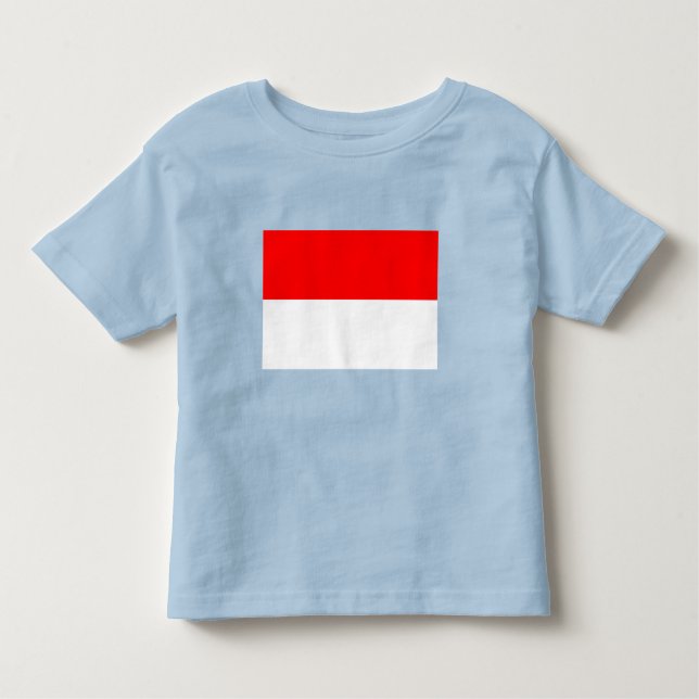 Indonesia Flag Toddler T-shirt (Front)