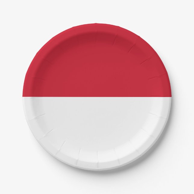 Indonesia (Indonesian) Flag Paper Plates (Front)