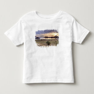 Indonesia, Komodo National Park. Sunset on one Toddler T-shirt