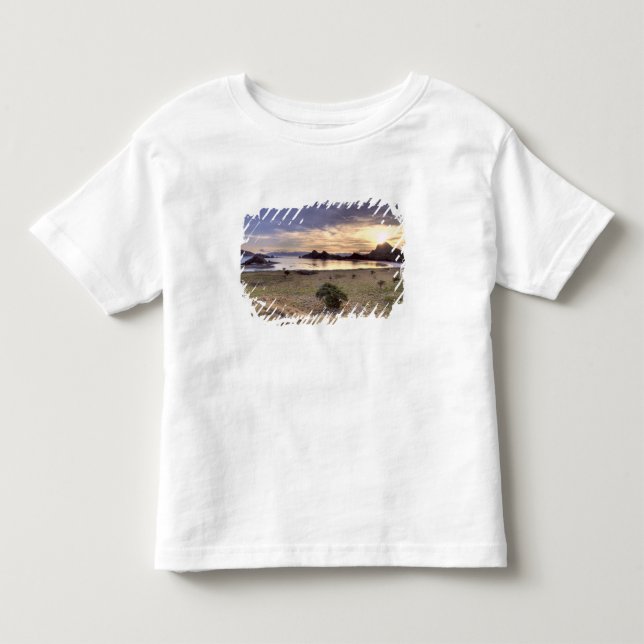 Indonesia, Komodo National Park. Sunset on one Toddler T-shirt (Front)
