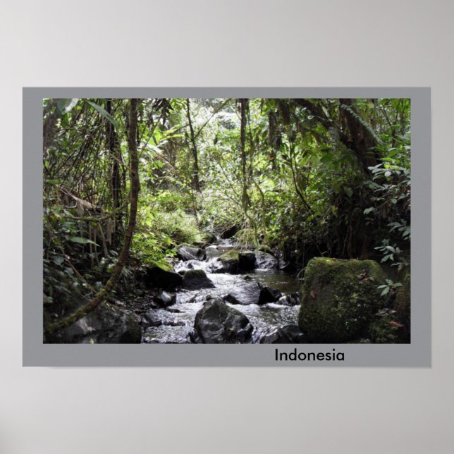 Indonesia Scene Poster (Front)