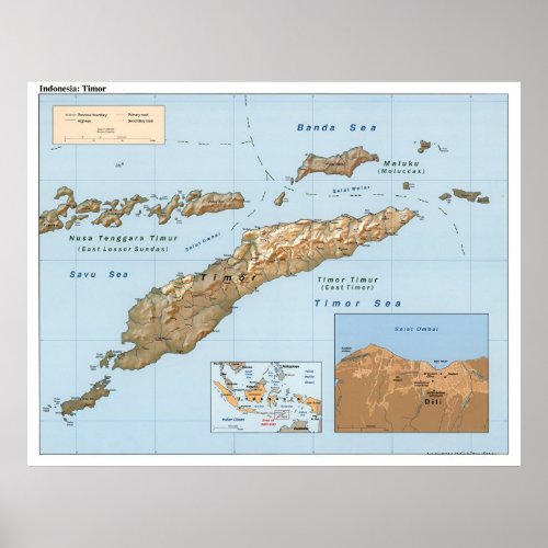 Indonesia Timor Map 1999 Poster