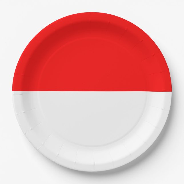 Indonesian Flag (Indonesia) Paper Plate (Front)