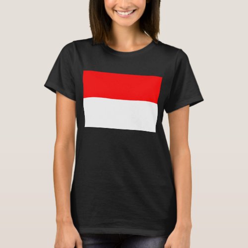 Indonesian Flag Indonesia T_Shirt