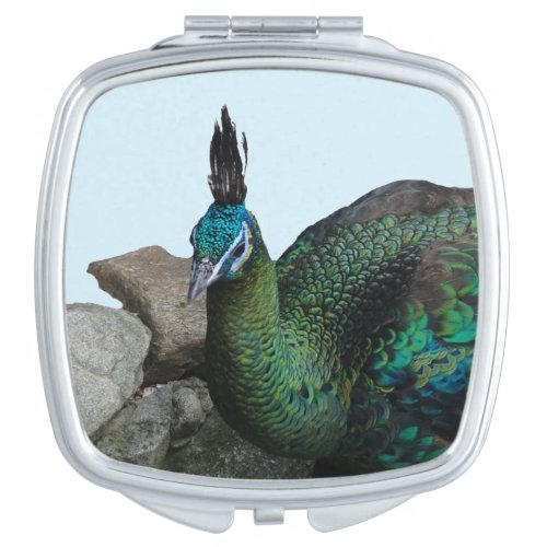 Indonesian Peacock Close Up Cust Compact Mirror