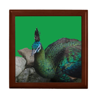 Indonesian Peacock Cust. Keepsake Box