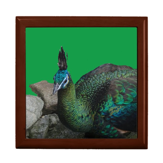 Indonesian Peacock Cust. Keepsake Box (Front)