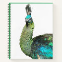 Indonesian Peacock Face Notebook