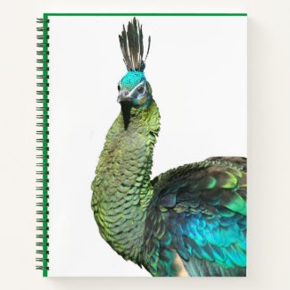 Indonesian Peacock Face Notebook