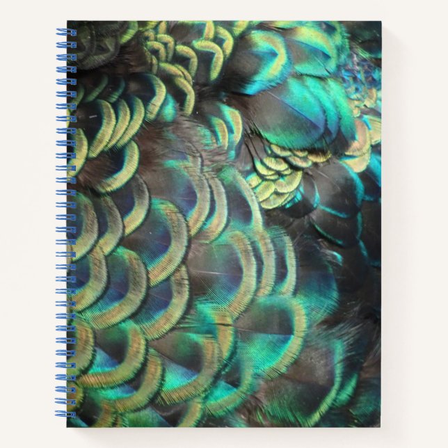 Indonesian Peacock Feathers Pattern Notebook (Front)