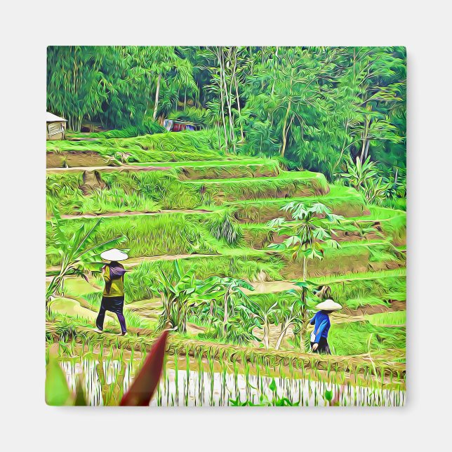 Indonesian Rice Field Magnet (Front)