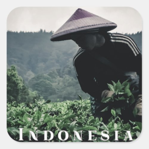 Indonesian Tea fields worker travel sticker