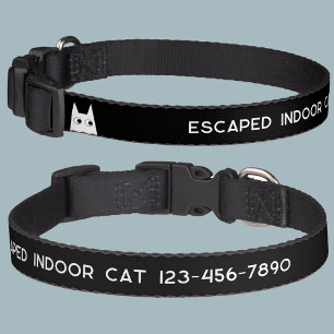 Indoor Cat Escaped Phone Number Pet Collar