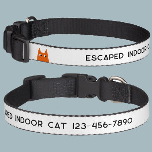 Indoor Cat Escaped Phone Number Pet Collar