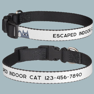 Indoor Cat Escaped Phone Number Pet Collar