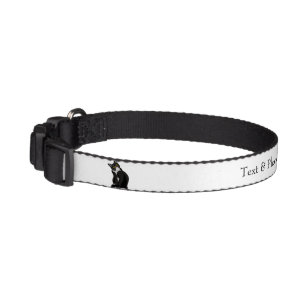 Indoor Cat Phone Number Collar