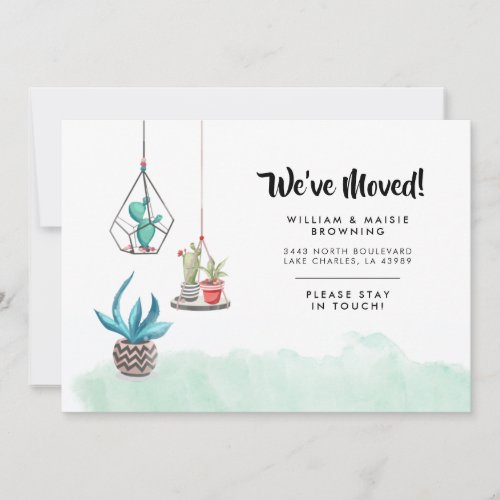 Indoor Garden Cacti Weve Moved New Address Announcement