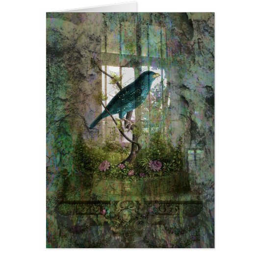Indoor Garden with Bird Cards (Front)