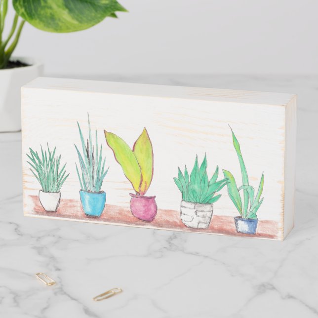 Indoor House Plants Watercolour Art Wooden Box Sign (In Situ Horizontal)