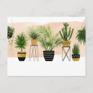 Indoor Oasis Collection Postcard