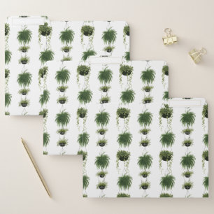 Indoor Oasis   Hanging Baskets File Folder