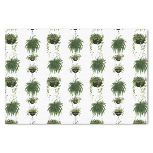 Indoor Oasis  Hanging Baskets Tissue Paper