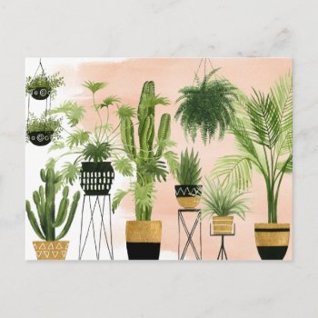 Indoor Oasis | Plant Lineup Postcard by worldartgroup at Zazzle