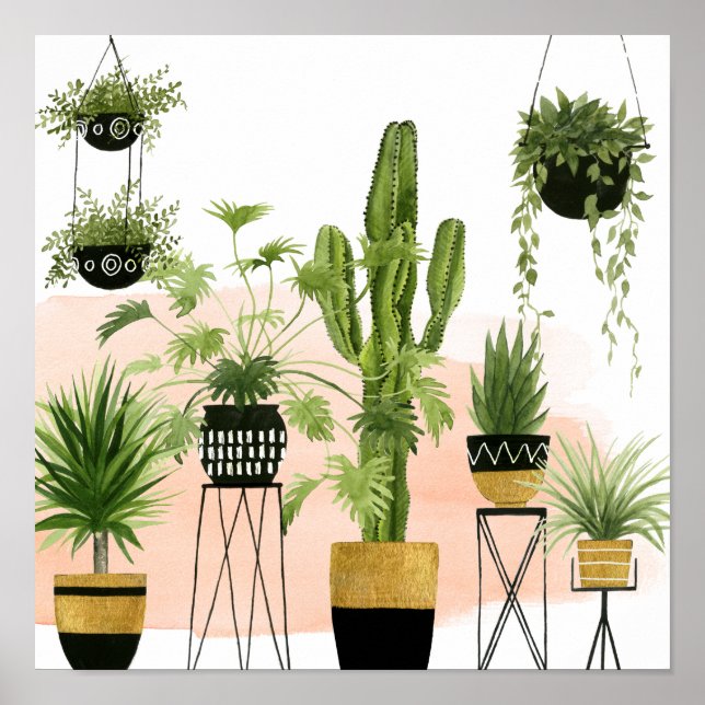 Indoor Oasis Poster (Front)