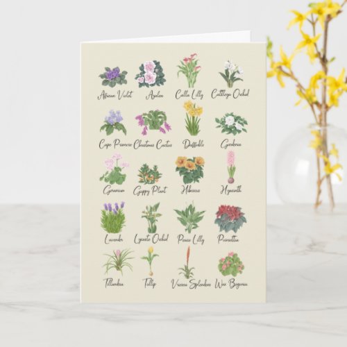 Indoor Plants and their Names _ Plant Lovers Gift  Card