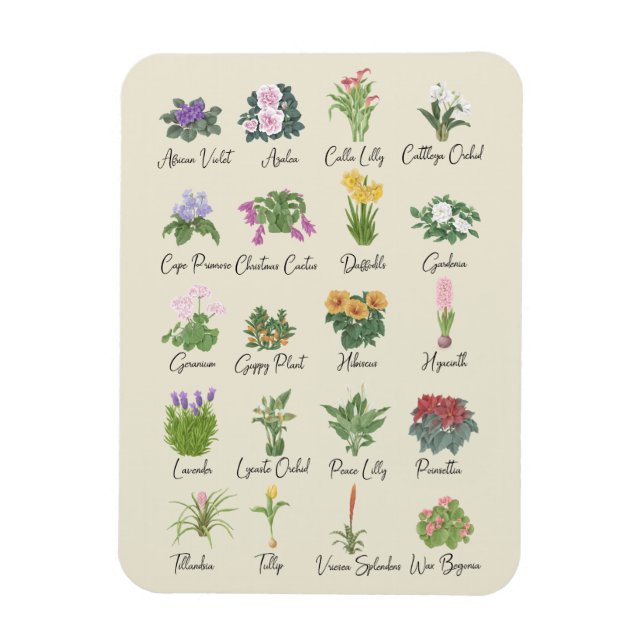Indoor Plants and their Names - Plant Lovers Gift Magnet (Vertical)