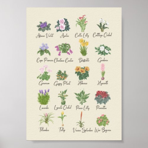Indoor Plants  Names Gardener Plant Lovers Gift Poster