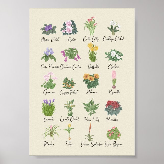 Indoor Plants + Names Gardener Plant Lovers Gift Poster (Front)