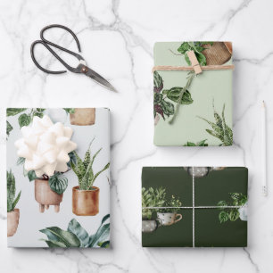 Indoor Plants Wrapping Paper