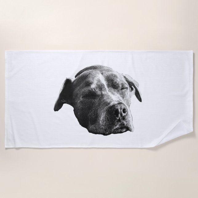 Indoor Pool Quiet Beach Towel (Front)