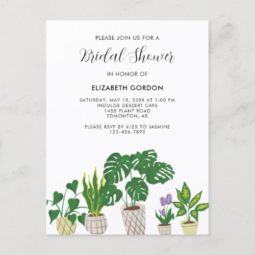 Indoor Potted Plants Bridal Shower Greenery  Postcard