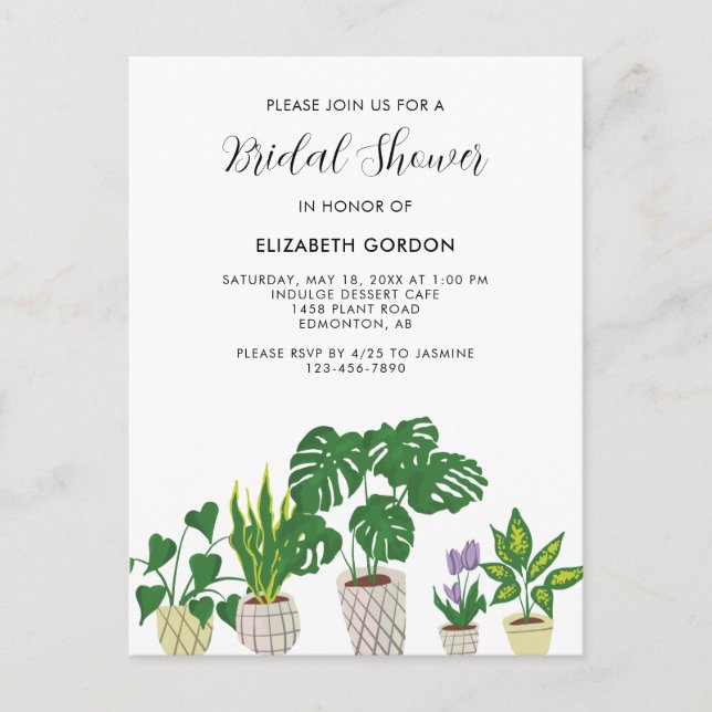 Indoor Potted Plants Bridal Shower Greenery  Postcard (Front)