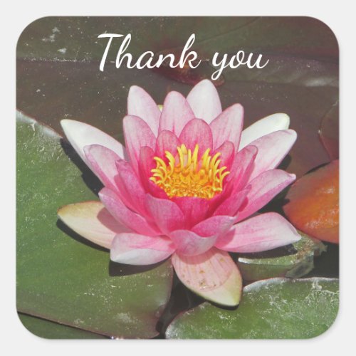 Inexpensive Thank You Bright Pink Water Lily Photo Square Sticker