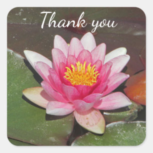 Inexpensive Thank You Bright Pink Water Lily Photo Square Sticker