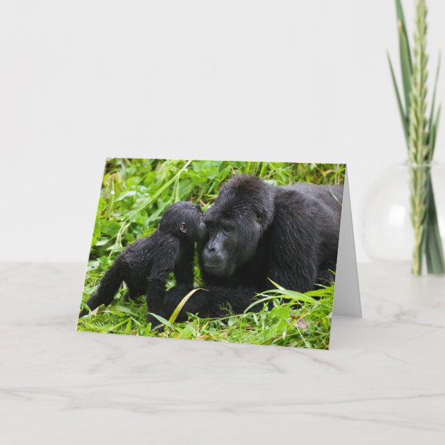 Infant Mountain Gorilla Kisses Silverback Gorilla Card (Front)