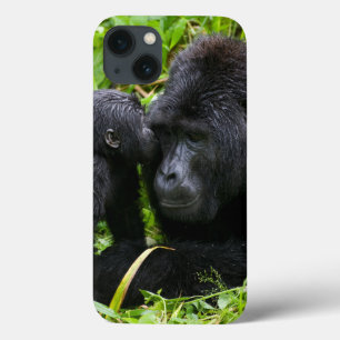 Infant Mountain Gorilla Kisses Silverback Gorilla iPhone 13 Case