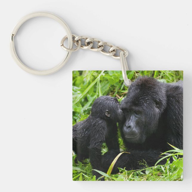 Infant Mountain Gorilla Kisses Silverback Gorilla Keychain (Front)