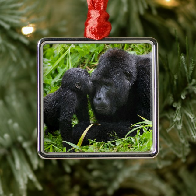 Infant Mountain Gorilla Kisses Silverback Gorilla Metal Ornament (Tree)
