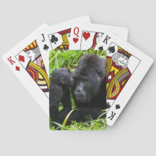 Infant Mountain Gorilla Kisses Silverback Gorilla Poker Cards