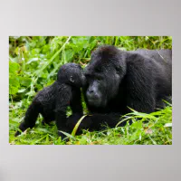 Gorilla Gift Box, Zazzle