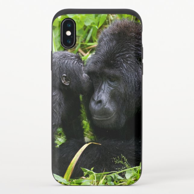 Infant Mountain Gorilla Kisses Silverback Gorilla Uncommon iPhone Case (Back)