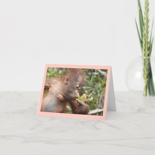 Infant Orangutan With Tropical Flower Card
