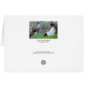 Infinitude of Space - Meditation Cards (Back Horizontal)