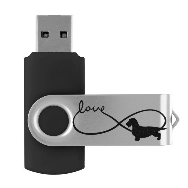 Infinity Love Lemniscate Rough-Hair Dachshund 1 Flash Drive (Opened)