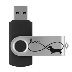 Infinity Love Lemniscate Short-Hair Dachshund 1 Flash Drive
