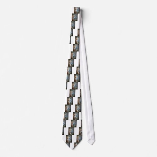 Infinity silver star neck tie